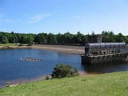 Beach Retreat 1bhk Apt in Skinnigrove