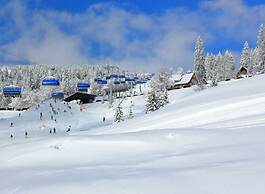 Cosy Holiday Home With Garden