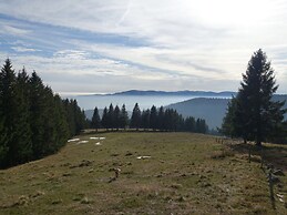 Classy Apartment in Soultzeren