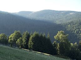 Classy Apartment in Soultzeren