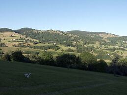 Classy Apartment in Soultzeren