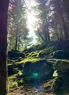 Favorite Piece of Modern Retreat