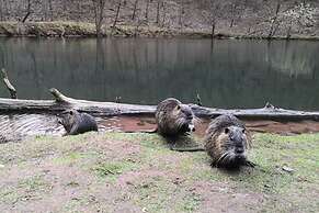 Holiday Apartment Rappenfels Lodge