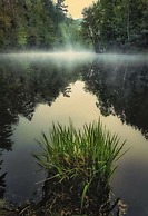 Holiday Apartment Rappenfels Lodge