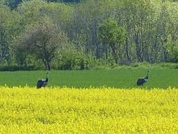 Holt Stuuv Comfortable Holiday Residence