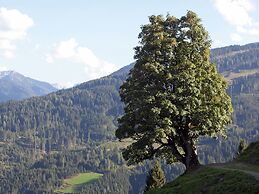 Cozy Holiday Apartment in Salzburger