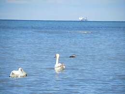 Bolliger Modern Retreat