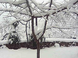 Belvilla by OYO La Curiosa