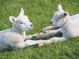 Villa Garden Cloud 7