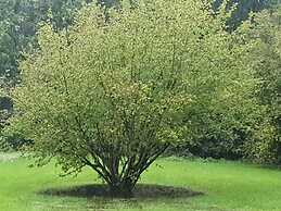 Villa Garden Cloud 7