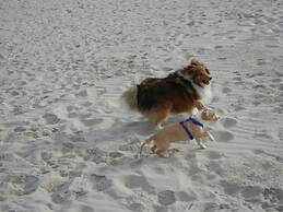 Villa Garden Cloud 7