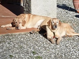 Cottage Olivi Everything for Eleven People