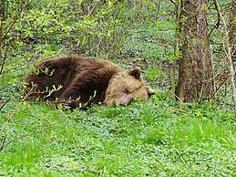 Blockhaus Fleesensee
