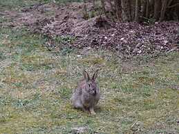 Blockhaus Fleesensee
