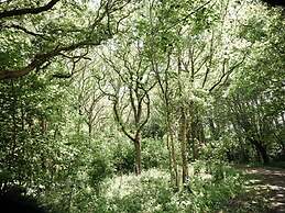 Oceanhouse Comfortable Holiday Residence