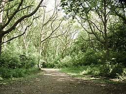 Oceanhouse Comfortable Holiday Residence