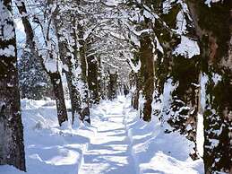 Apartment Bar Comfortable Holiday Residence