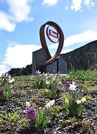 Apartment Bar Comfortable Holiday Residence