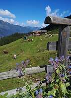 Apartment Bar Comfortable Holiday Residence