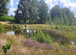 Holiday Home in Brabant With Private Spa