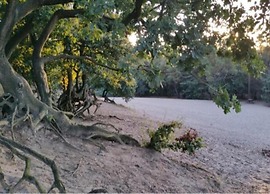 Holiday Home in Brabant With Private Spa