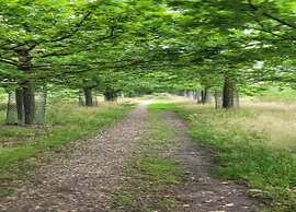 Holiday Home in Brabant With Private Spa