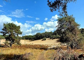 Holiday Home in Brabant With Private Spa