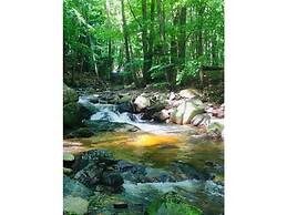 Villa _peacock Suite