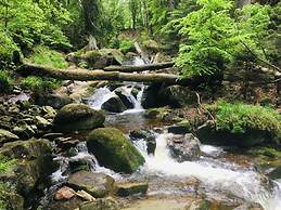 Villa _peacock Suite