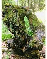 Villa _peacock Suite