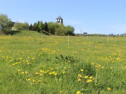 Holiday Home Zinnwald Large