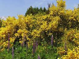 Mechthild and Hans-jurgen Geschwind