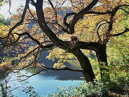 Mechthild and Hans-jurgen Geschwind