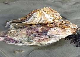 Dyke-view Stay With Terrace