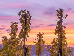 Anton Zimmermann Winery