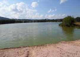 Lakefront Glamping w/ Pets