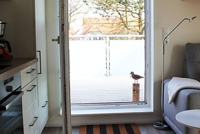 Cosy Apartment Near Centre