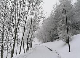 Apartment in Cavalese Near Cermis Ski Slopes