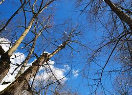 Belvilla by OYO Le Plejadi Bilo 2 sr