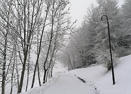 Apartment in Cavalese Near Cermis Ski Slopes