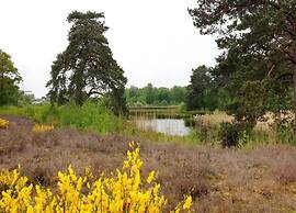 Villa in Nijmegen With VIP Amenities