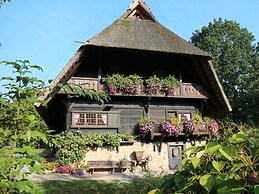 Pleasant Apartment in Zell am Harmersbach