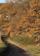 Vinum Comfortable Holiday Residence