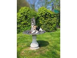 No Title Modern Retreat