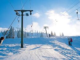 Schonbrunn Holiday Home in Bayrischzell