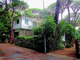 Charm in Castagneto Carducci