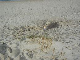 Mountain Apartment in Ehrenberg