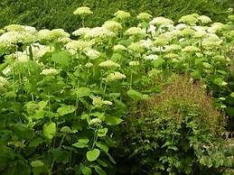 Mountain Apartment in Ehrenberg