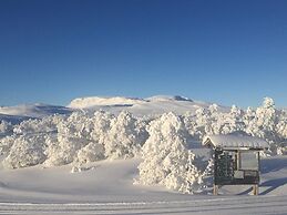 4 Person Holiday Home in Geilo-by Traum