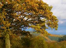 Magnificent Studio Home With Sauna